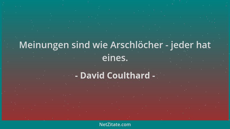 David Coulthard - Meinungen sind wie Arschlöcher - jeder hat eines....