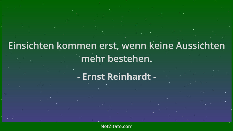 Ernst Reinhardt - Einsichten kommen erst, wenn keine Aussichten mehr bestehen....