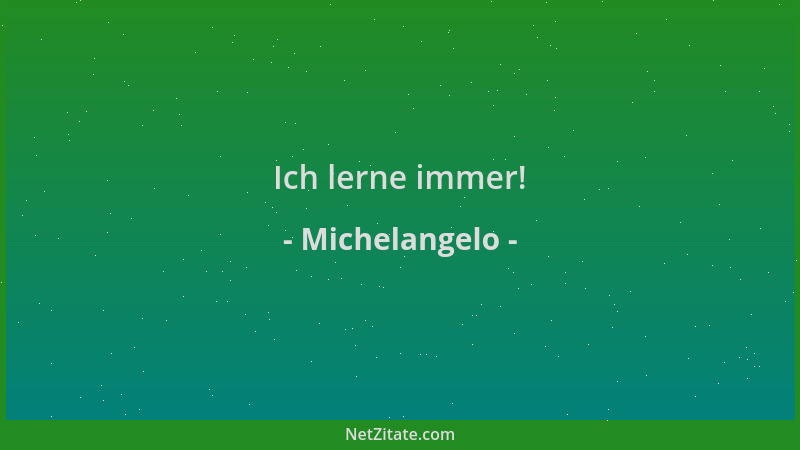 Michelangelo - Ich lerne immer!...