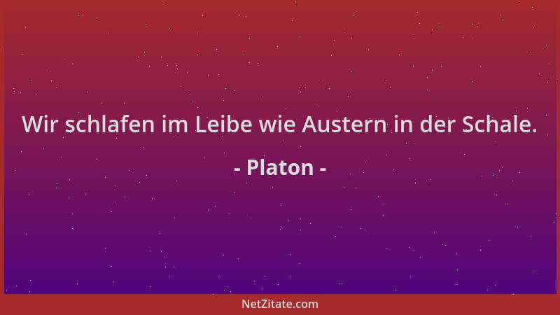 Platon - Wir schlafen im Leibe wie Austern in der Schale....
