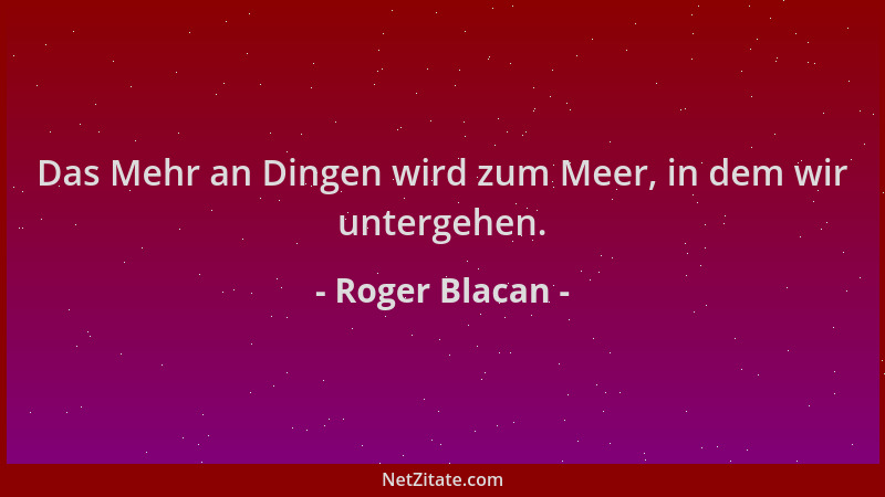 Roger Blacan - Das Mehr an Dingen wird zum Meer, in dem wir untergehen....