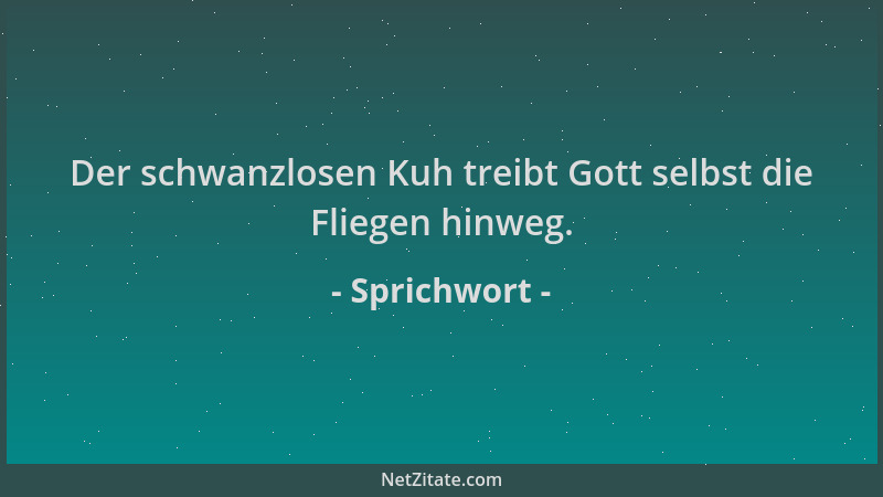 Sprichwort - Der schwanzlosen Kuh treibt Gott selbst die Fliegen hinweg....