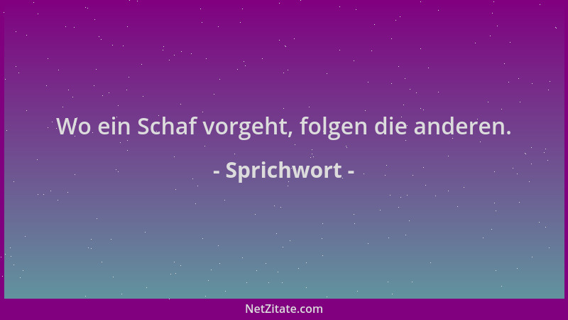 Sprichwort - Wo ein Schaf vorgeht, folgen die anderen....