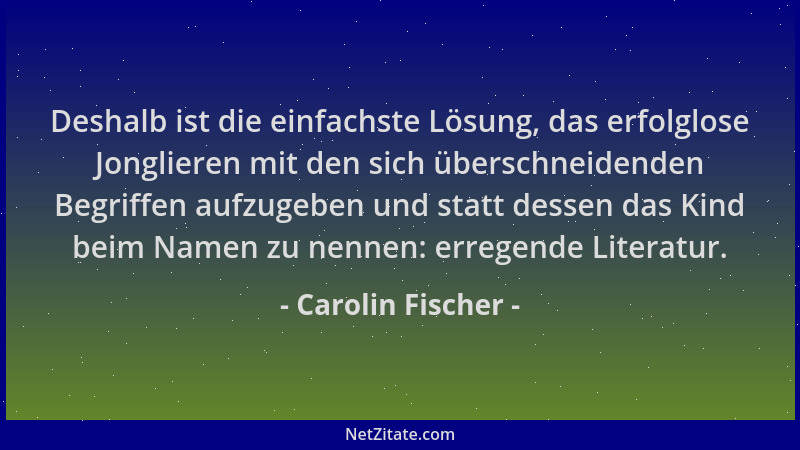 Carolin Fischer - Deshalb ist die einfachste Lösung, das erfolglose Jonglieren mit den sich überschneidenden Begriffen aufz...
