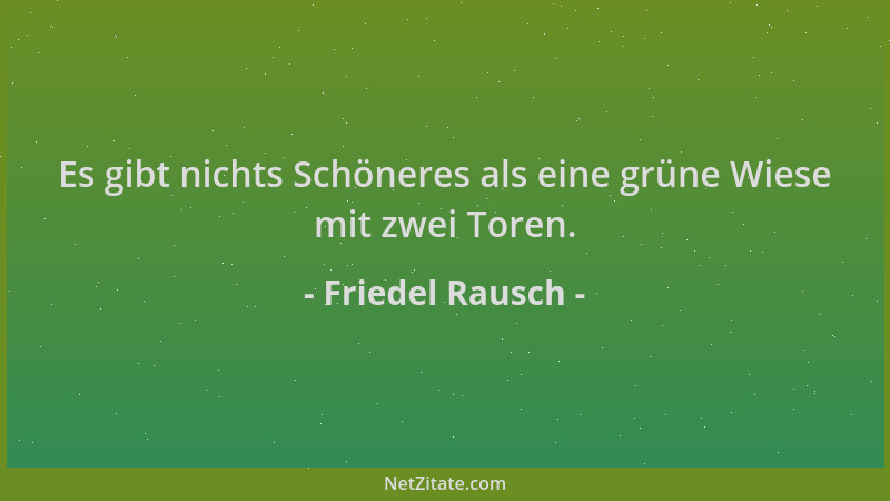 Friedel Rausch - Es gibt nichts Schöneres als eine grüne Wiese mit zwei Toren....