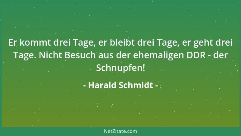 Harald Schmidt - Er kommt drei Tage, er bleibt drei Tage, er geht drei Tage. Nicht Besuch aus der ehemaligen DDR - der Schn...