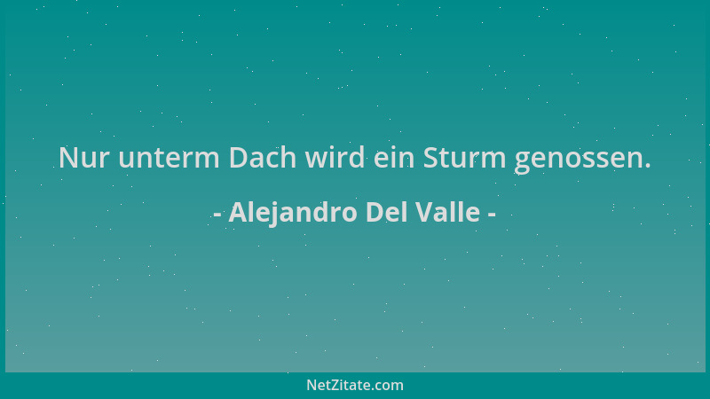 Alejandro Del Valle - Nur unterm Dach wird ein Sturm genossen....