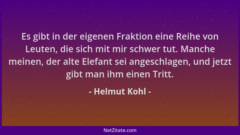 Helmut Kohl - Es gibt in der eigenen Fraktion eine Reihe von Leuten, die sich mit mir schwer tut. Manche meinen, der alte E...