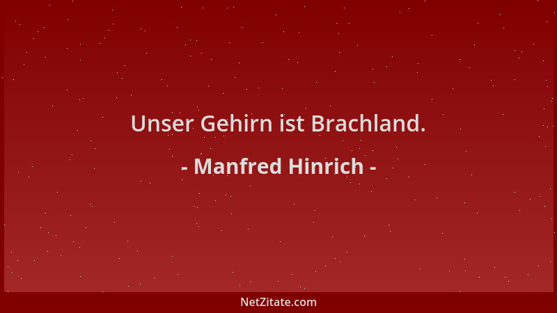 Manfred Hinrich - Unser Gehirn ist Brachland....