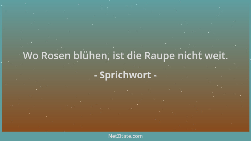 Sprichwort - Wo Rosen blühen, ist die Raupe nicht weit....
