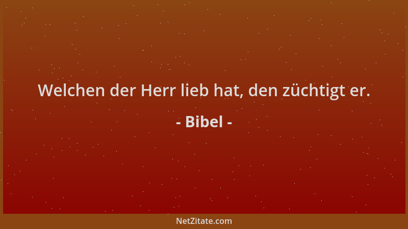 Bibel - Welchen der Herr lieb hat, den züchtigt er....