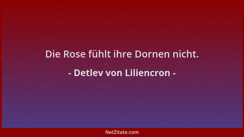 Detlev von Liliencron - Die Rose fühlt ihre Dornen nicht....