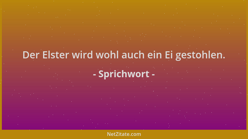 Sprichwort - Der Elster wird wohl auch ein Ei gestohlen....