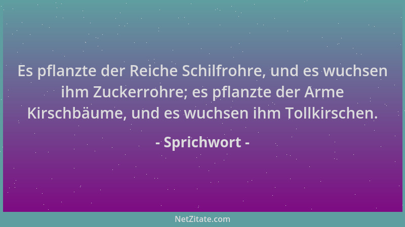 Sprichwort - Es pflanzte der Reiche Schilfrohre, und es wuchsen ihm Zuckerrohre; es pflanzte der Arme Kirschbäume, und es w...