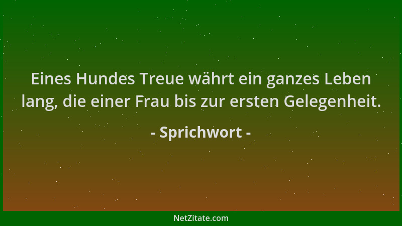Sprichwort - Eines Hundes Treue währt ein ganzes Leben lang, die einer Frau bis zur ersten Gelegenheit....