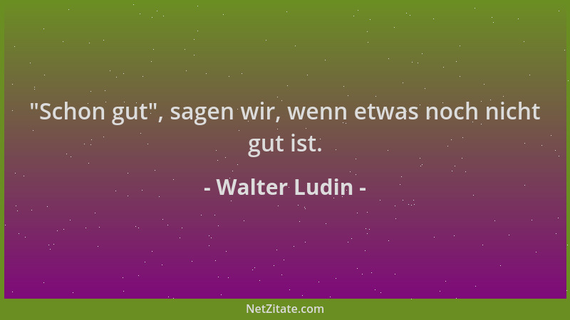 Walter Ludin -  "Schon gut ", sagen wir, wenn etwas noch nicht gut ist....