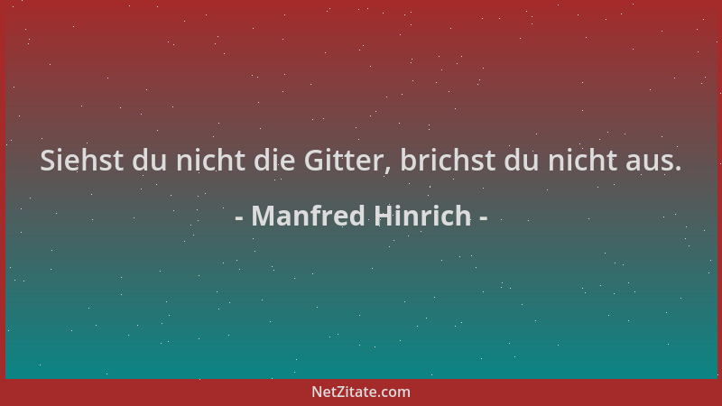 Manfred Hinrich - Siehst du nicht die Gitter, brichst du nicht aus....