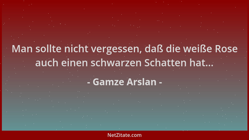 Gamze Arslan - Man sollte nicht vergessen, daß die weiße Rose auch einen schwarzen Schatten hat......