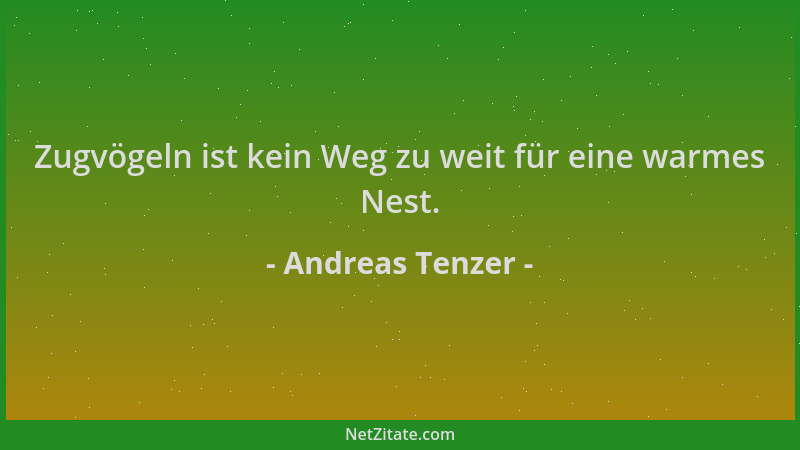 Andreas Tenzer - Zugvögeln ist kein Weg zu weit für eine warmes Nest....