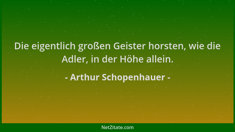 Arthur Schopenhauer - Die eigentlich großen Geister horsten, wie die Adler, in der Höhe allein....