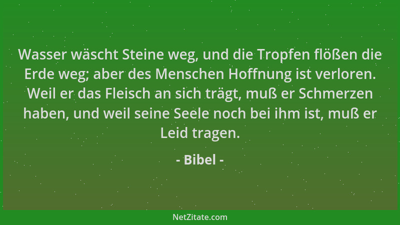 Bibel - Wasser wäscht Steine weg, und die Tropfen flößen die Erde weg; aber des Menschen Hoffnung ist verloren. Weil er das...