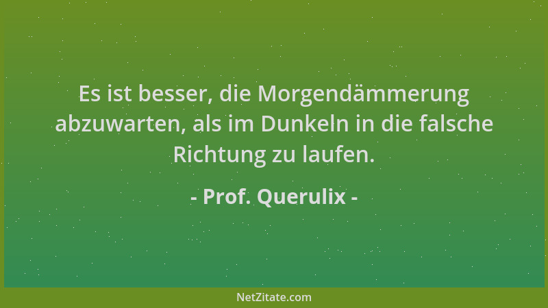 Prof. Querulix - Es ist besser, die Morgendämmerung abzuwarten, als im Dunkeln in die falsche Richtung zu laufen....