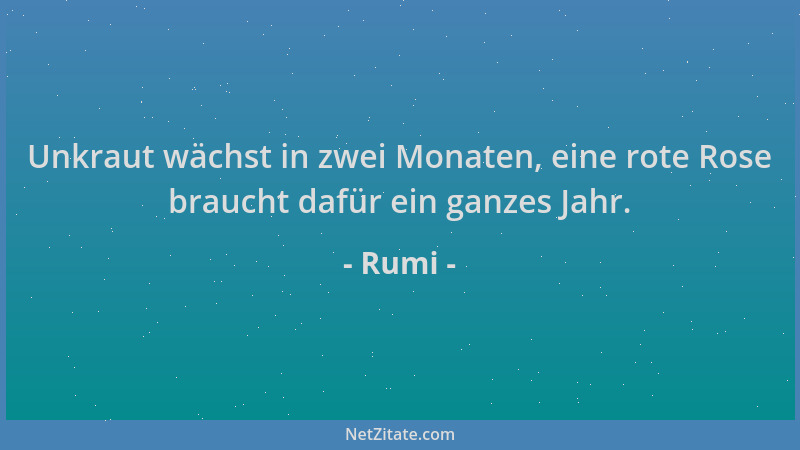 Rumi - Unkraut wächst in zwei Monaten, eine rote Rose braucht dafür ein ganzes Jahr....