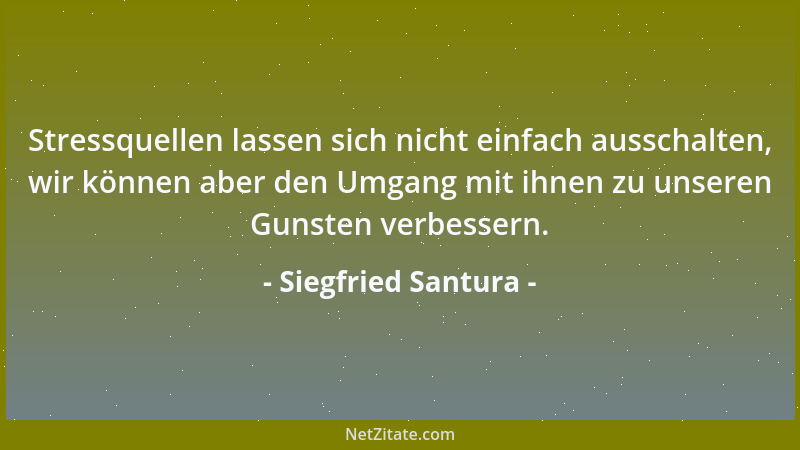Siegfried Santura - Stressquellen lassen sich nicht einfach ausschalten, wir können aber den Umgang mit ihnen zu unseren Gu...