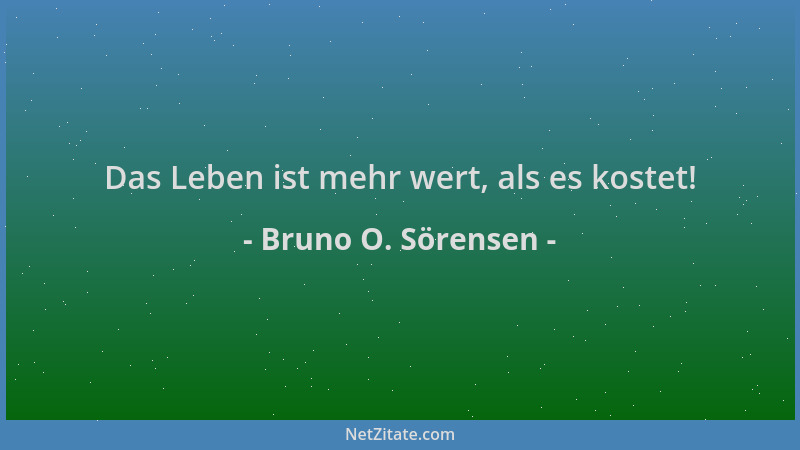 Bruno O. Sörensen - Das Leben ist mehr wert, als es kostet!...