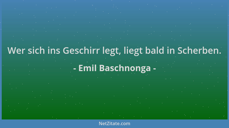 Emil Baschnonga - Wer sich ins Geschirr legt, liegt bald in Scherben....