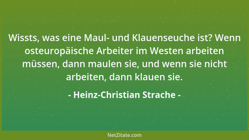 Heinz-Christian Strache - Wissts, was eine Maul- und Klauenseuche ist? Wenn osteuropäische Arbeiter im Westen arbeiten müss...