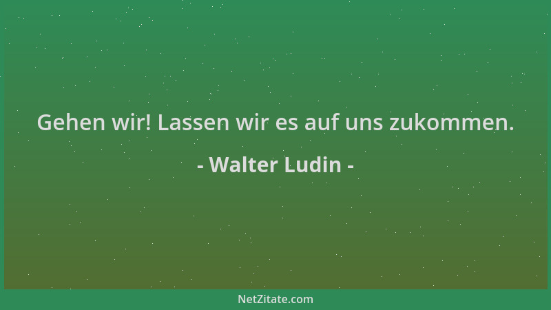 Walter Ludin - Gehen wir! Lassen wir es auf uns zukommen....