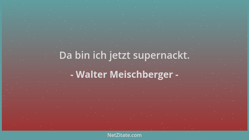 Walter Meischberger - Da bin ich jetzt supernackt....