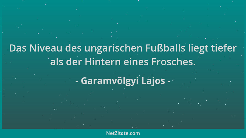 Garamvölgyi Lajos - Das Niveau des ungarischen Fußballs liegt tiefer als der Hintern eines Frosches....