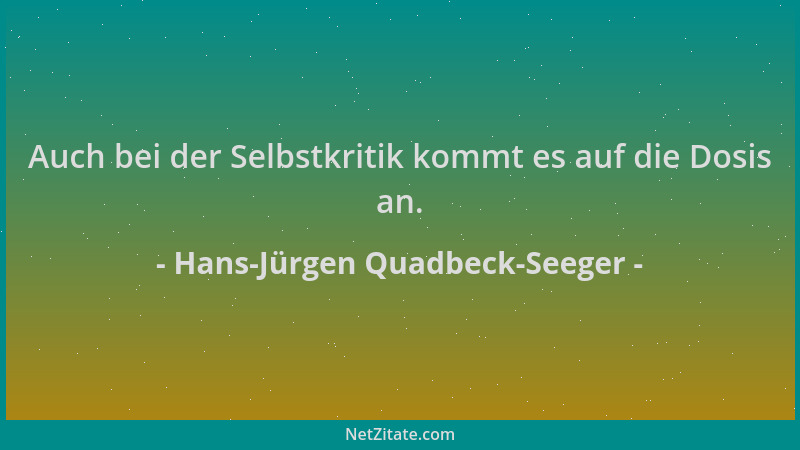 Hans-Jürgen Quadbeck-Seeger - Auch bei der Selbstkritik kommt es auf die Dosis an....
