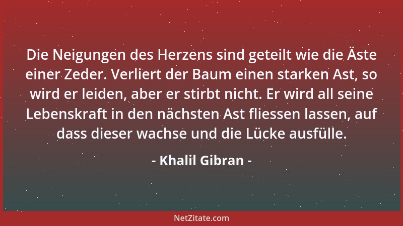 Khalil Gibran - Die Neigungen des Herzens sind geteilt wie die Äste einer Zeder. Verliert der Baum einen starken Ast, so wi...