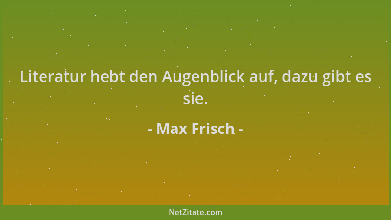 Max Frisch - Literatur hebt den Augenblick auf, dazu gibt es sie....