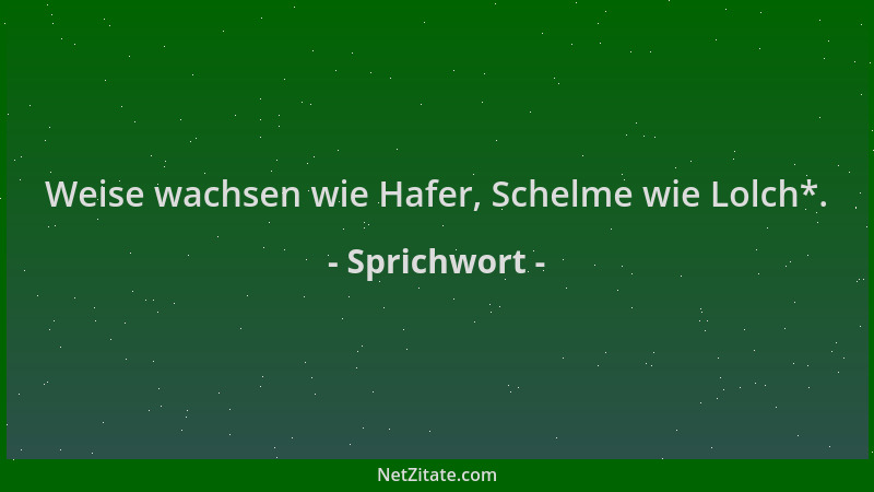 Sprichwort - Weise wachsen wie Hafer, Schelme wie Lolch*....