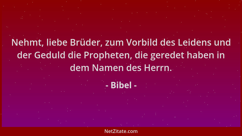 Bibel - Nehmt, liebe Brüder, zum Vorbild des Leidens und der Geduld die Propheten, die geredet haben in dem Namen des Herrn...