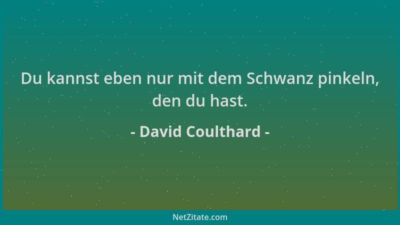 David Coulthard - Du kannst eben nur mit dem Schwanz pinkeln, den du hast....
