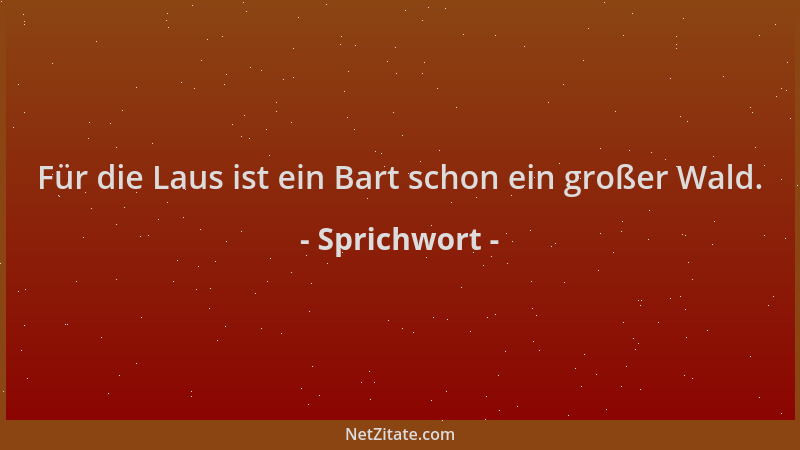 Sprichwort - Für die Laus ist ein Bart schon ein großer Wald....