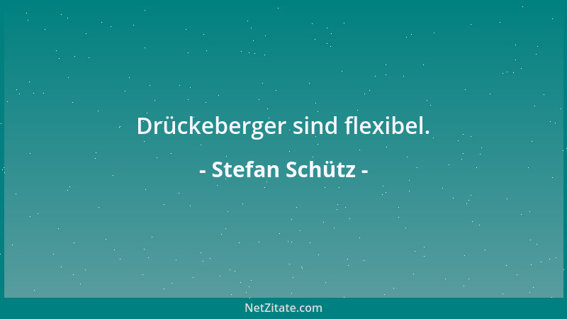 Stefan Schütz - Ehemals Gejagte taugen allemal als Jäger....