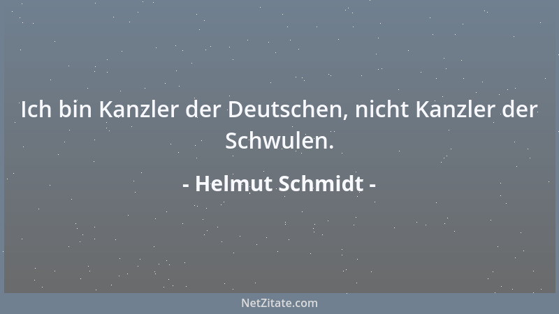 Helmut Schmidt - Ich bin Kanzler der Deutschen, nicht Kanzler der Schwulen....