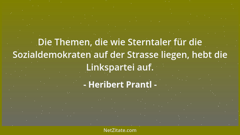 Heribert Prantl - Die Themen, die wie Sterntaler für die Sozialdemokraten auf der Strasse liegen, hebt die Linkspartei auf....