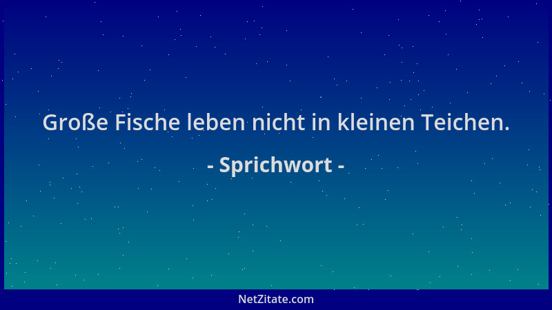 Sprichwort - Große Fische leben nicht in kleinen Teichen....