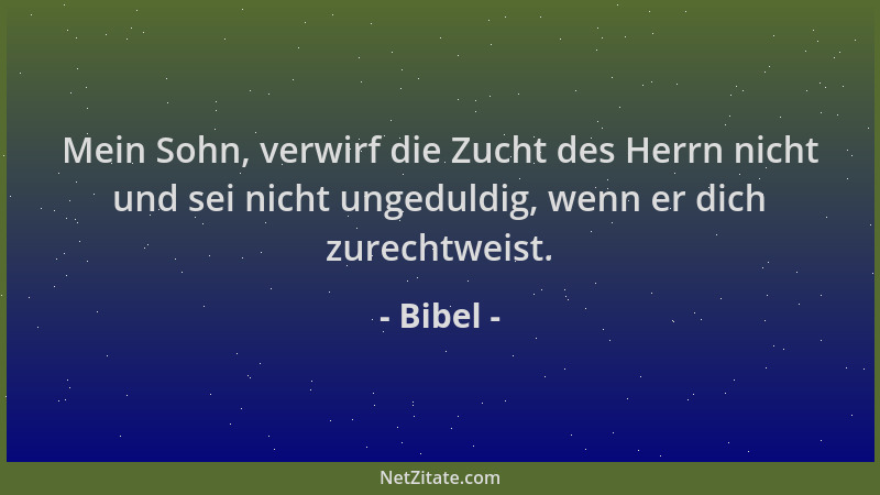 Bibel - Mein Sohn, verwirf die Zucht des Herrn nicht und sei nicht ungeduldig, wenn er dich zurechtweist....
