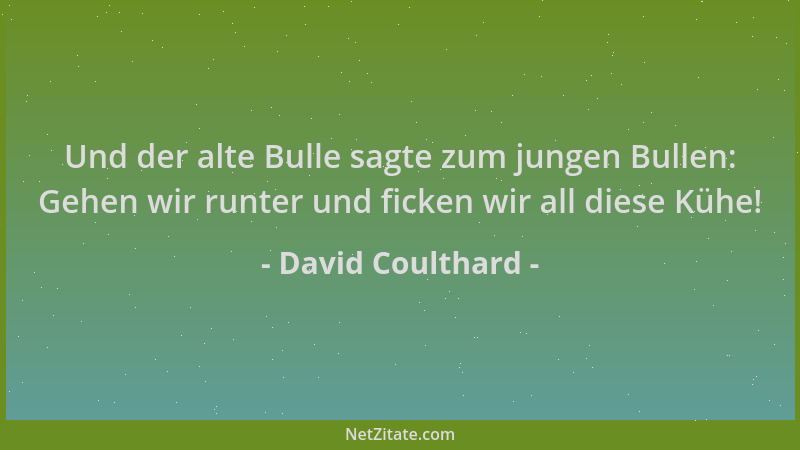 David Coulthard - Und der alte Bulle sagte zum jungen Bullen: Gehen wir runter und ficken wir all diese Kühe!...