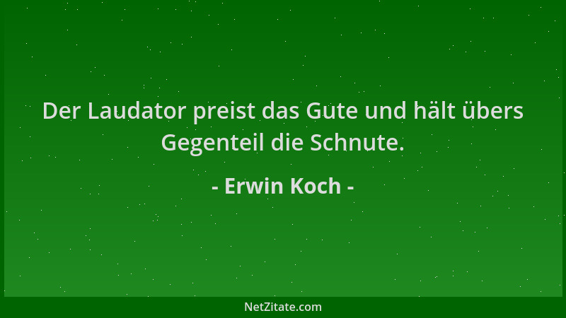 Erwin Koch - Der Laudator preist das Gute und hält übers Gegenteil die Schnute....