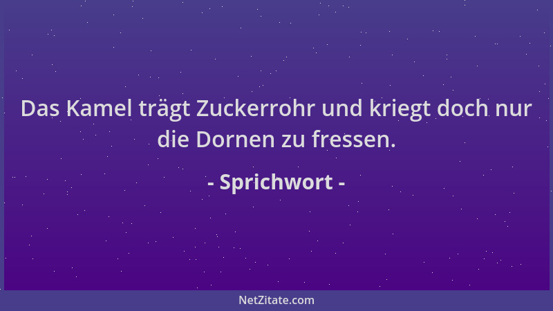 Sprichwort - Das Kamel trägt Zuckerrohr und kriegt doch nur die Dornen zu fressen....