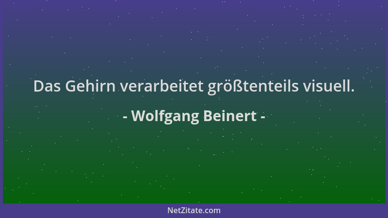 Wolfgang Beinert - Das Gehirn verarbeitet größtenteils visuell....